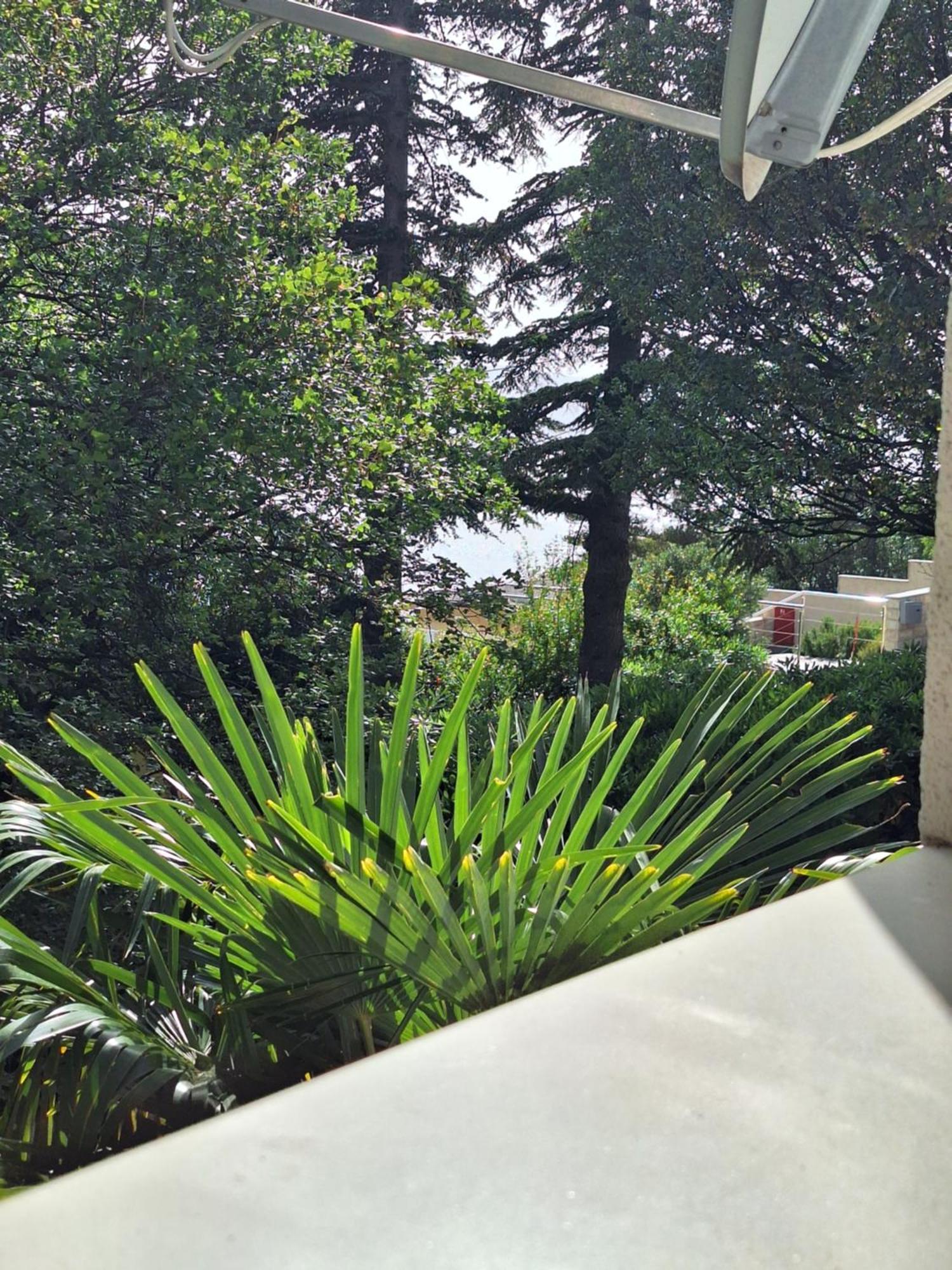 Villa Haus Niko Senj  Extérieur photo